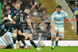 England Argentina Rugby