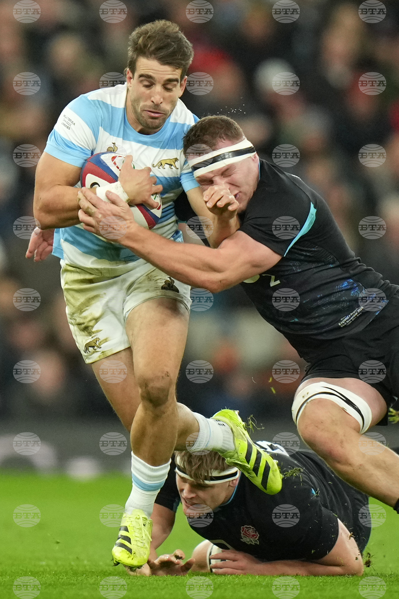 England Argentina Rugby