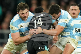 England Argentina Rugby