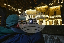 Къщата с ягодите - коледна украса