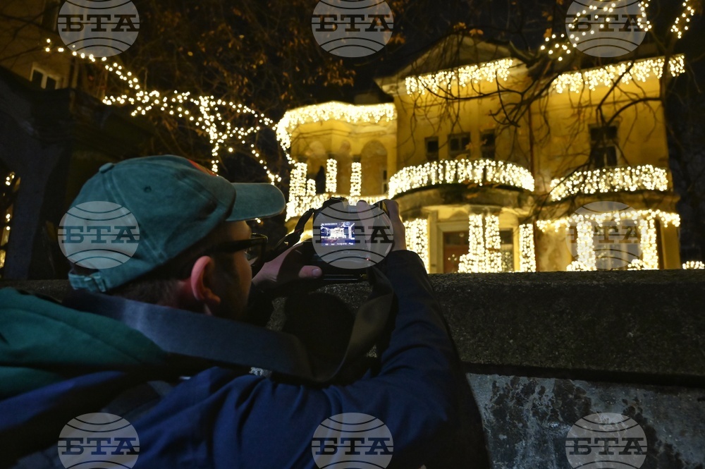 Къщата с ягодите - коледна украса