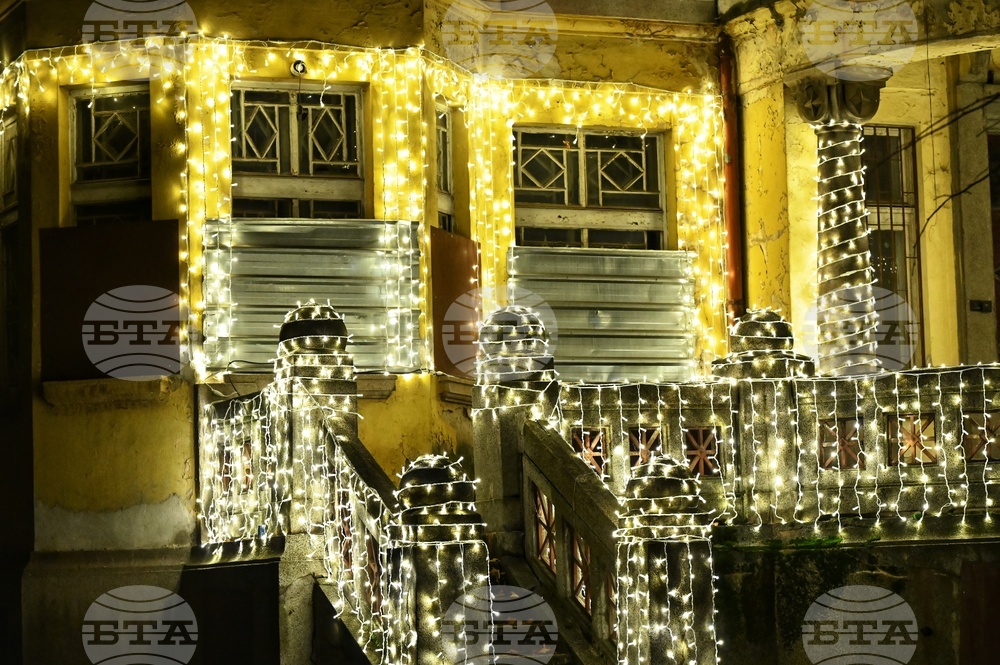 Къщата с ягодите - коледна украса