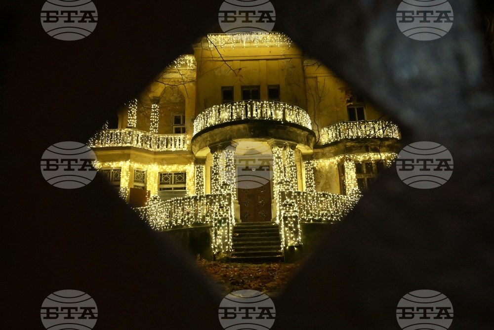 Къщата с ягодите - коледна украса