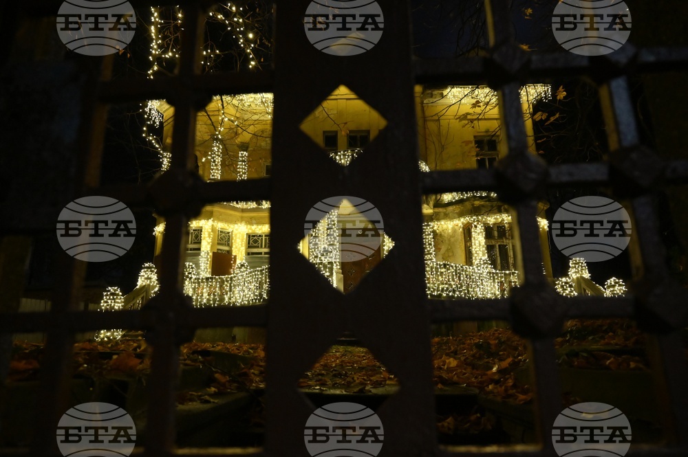 Къщата с ягодите - коледна украса