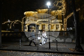 Къщата с ягодите - коледна украса