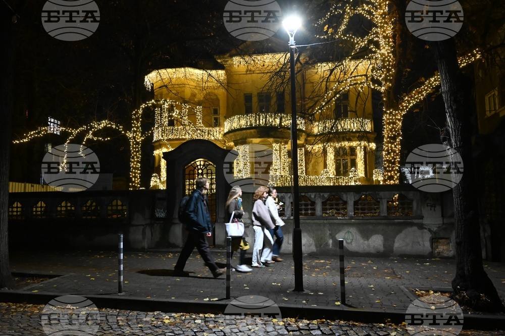 Къщата с ягодите - коледна украса