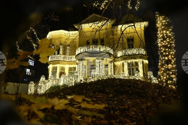 Къщата с ягодите - коледна украса