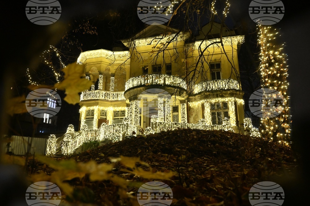 Къщата с ягодите - коледна украса