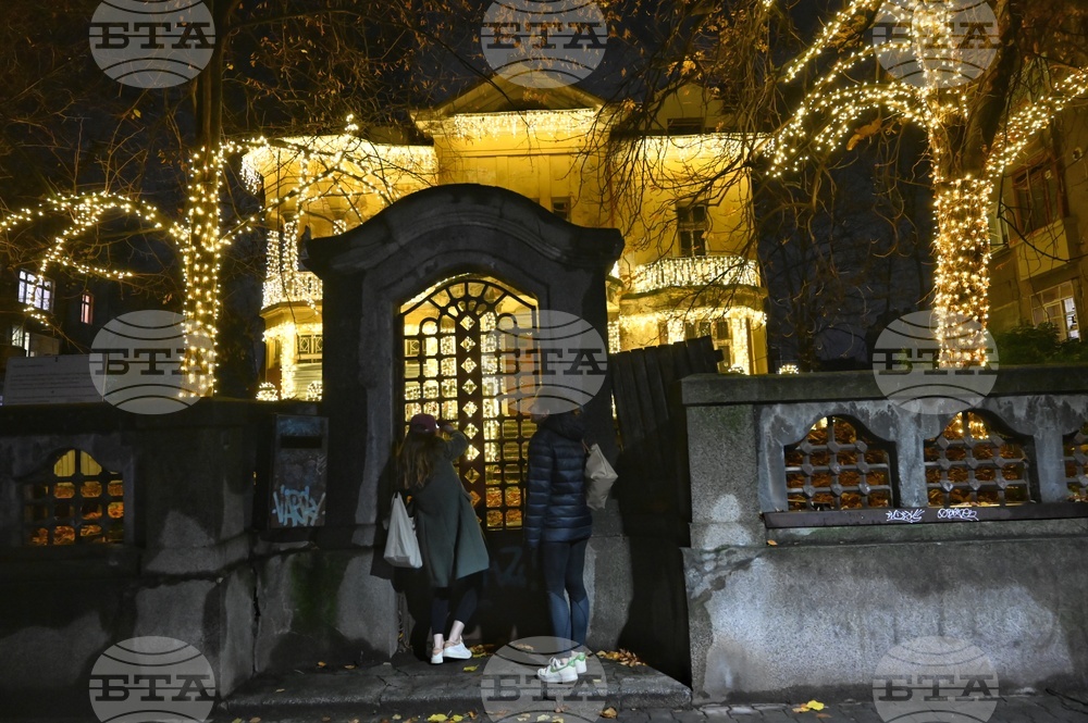 Къщата с ягодите - коледна украса