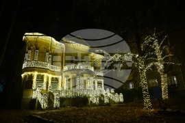 Къщата с ягодите - коледна украса