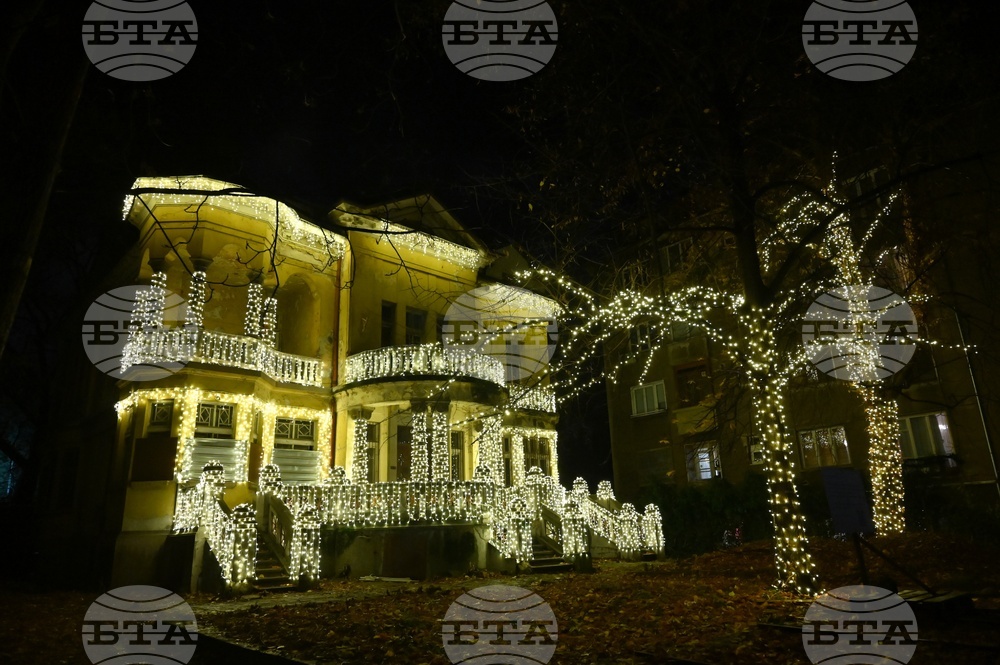 Къщата с ягодите - коледна украса