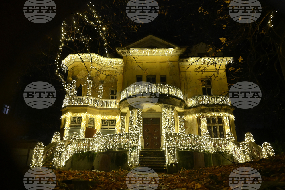 Къщата с ягодите - коледна украса