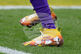 Vikings Packers Football