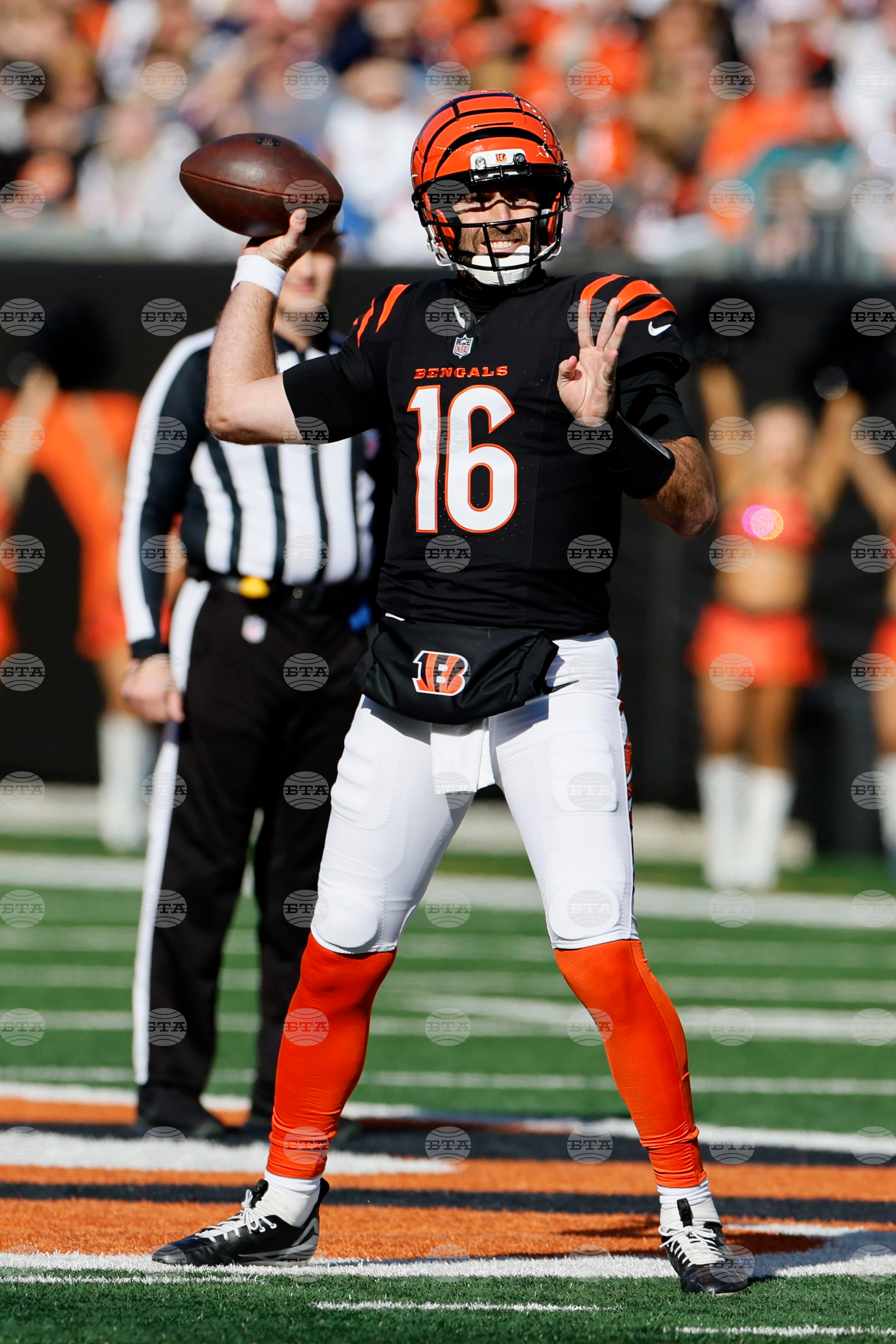 Patriots Bengals Football