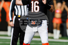 Patriots Bengals Football