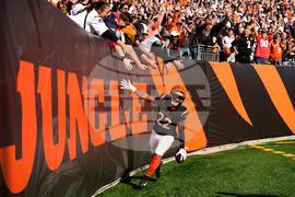 APTOPIX Patriots Bengals Football