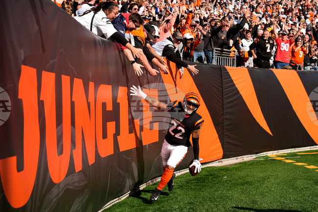 APTOPIX Patriots Bengals Football