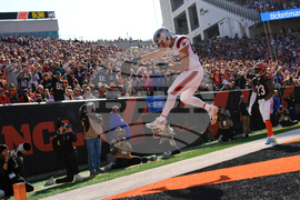 Patriots Bengals Football