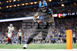 APTOPIX Giants Lions Football