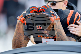 Patriots Bengals Football