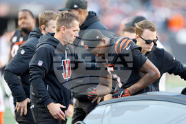 Patriots Bengals Football