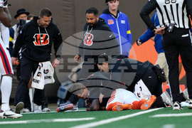 Patriots Bengals Football