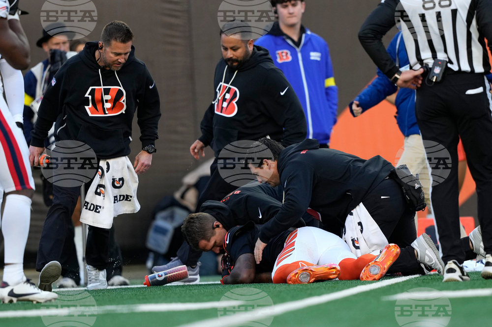 Patriots Bengals Football