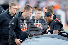 Patriots Bengals Football