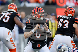 Patriots Bengals Football
