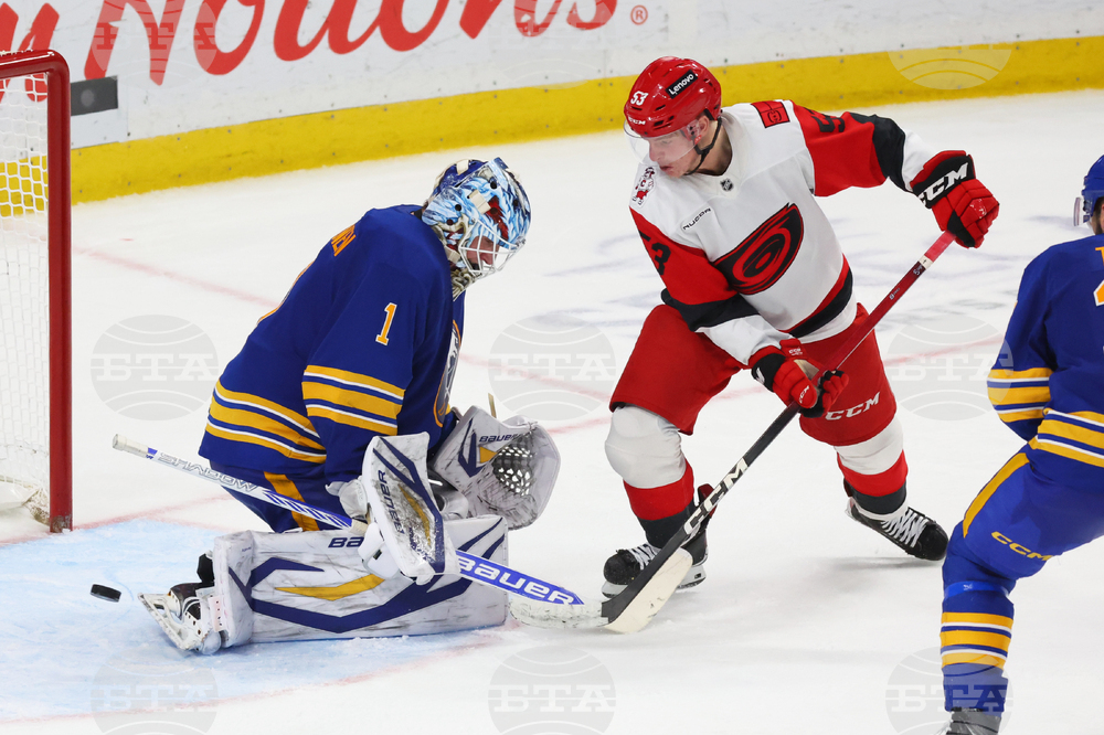 Hurricanes Sabres Hockey