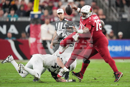 APTOPIX Jaguars Cardinals Football