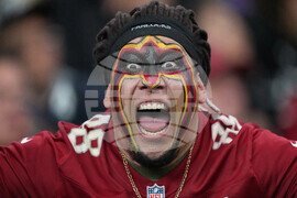 Jaguars Cardinals Football