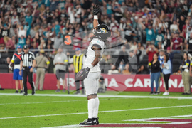 Jaguars Cardinals Football