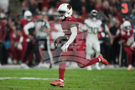 Jaguars Cardinals Football