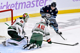 Wild Jets Hockey