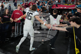 Jaguars Cardinals Football