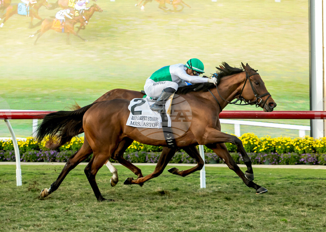 Del Mar Horse Racing