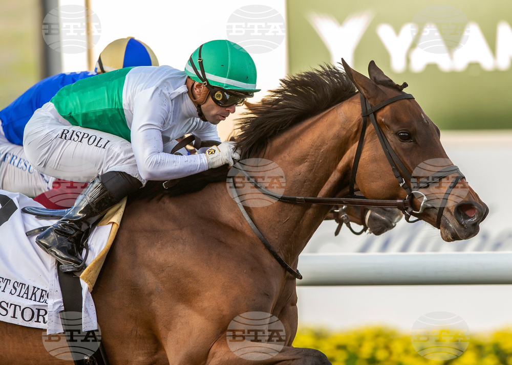 Del Mar Horse Racing