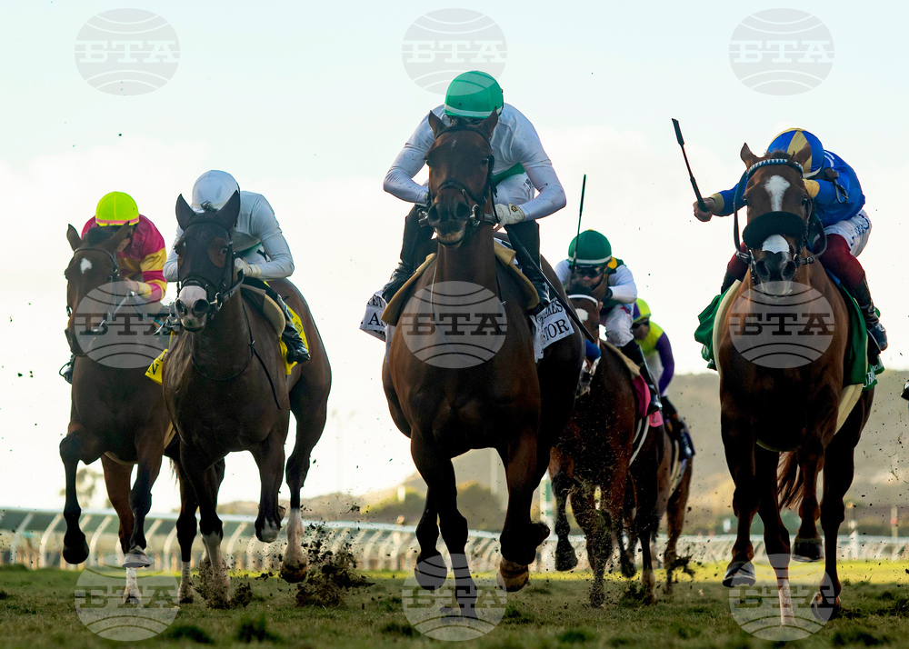 Del Mar Horse Racing