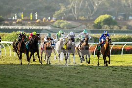 Del Mar Horse Racing