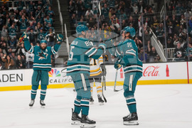 Bruins Sharks Hockey