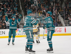 Bruins Sharks Hockey