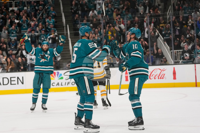 Bruins Sharks Hockey