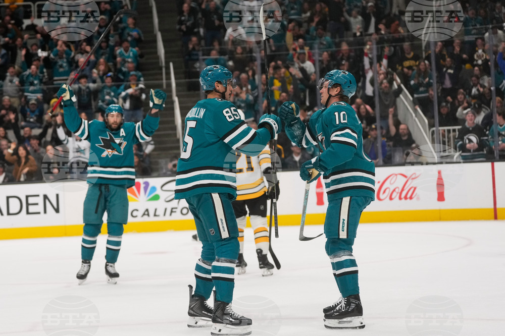 Bruins Sharks Hockey