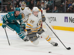 Bruins Sharks Hockey