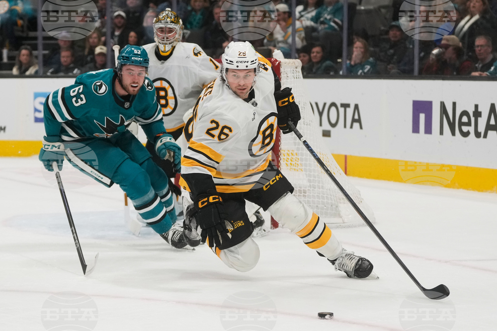 Bruins Sharks Hockey