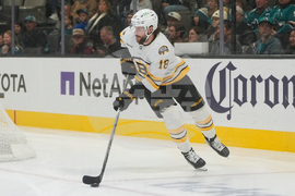 Bruins Sharks Hockey