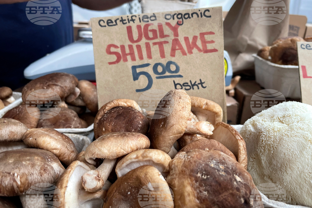 Climate Choices Grocery Alternatives