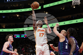 Hornets Hawks Basketball