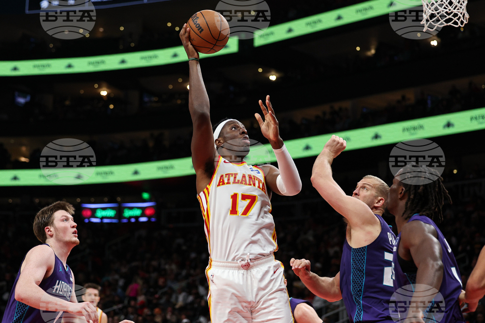 Hornets Hawks Basketball